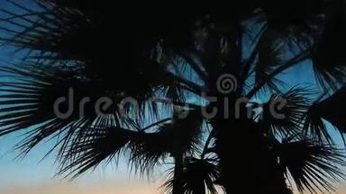 日落时分的棕榈树。天空背景下的棕榈<strong>树叶剪影</strong>